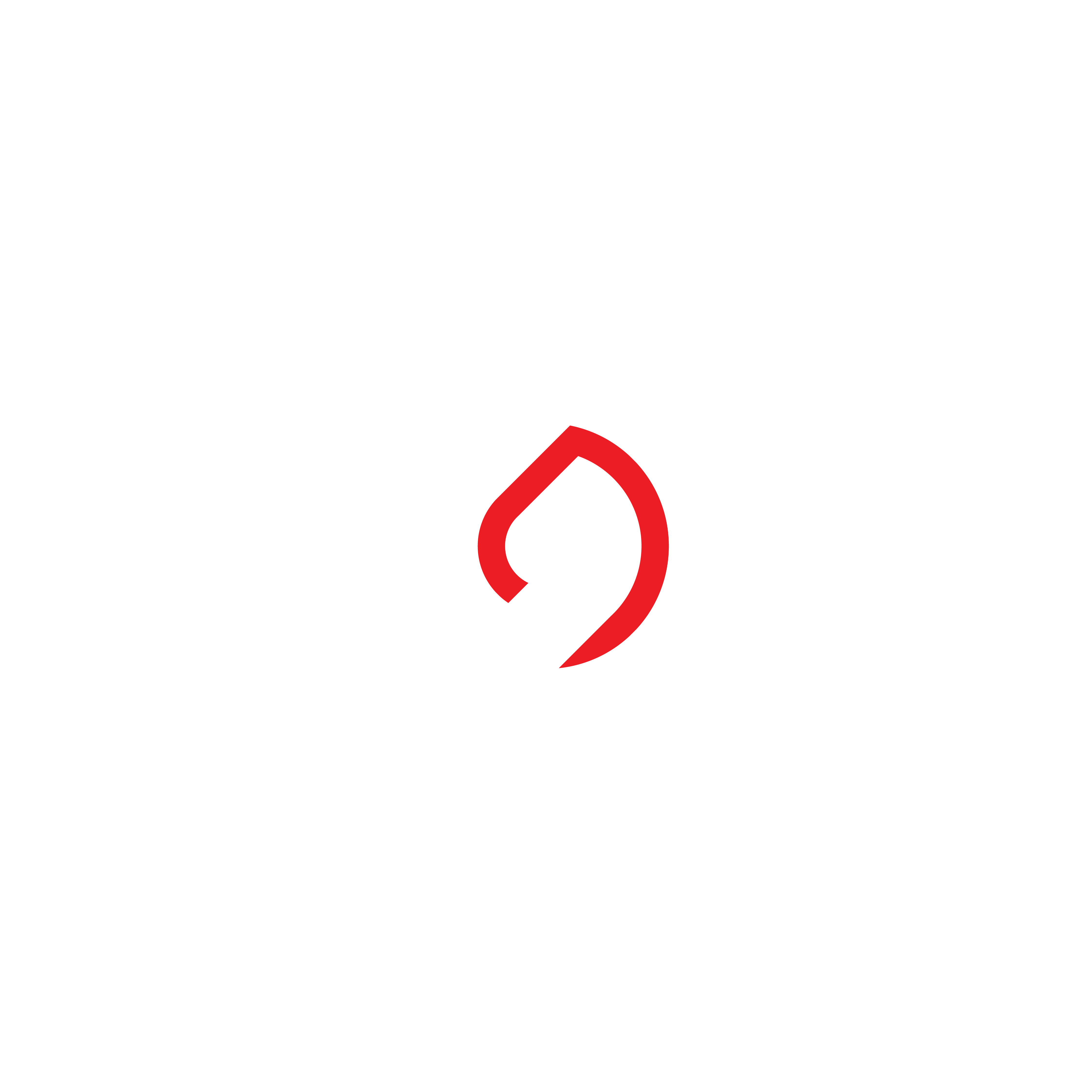 dancigroup.com favicon